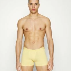 Pier One Hombre 5 PACK - Culotte - Blue/light Blue/green -Ofertas Pier One Tienda 53f1979f03c74dca842ef16add03b0d3