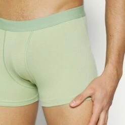 Pier One Hombre 5 PACK - Culotte - Blue/light Blue/green -Ofertas Pier One Tienda 7a3ed8921d514a96832f29fddef2787c