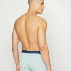 Pier One Hombre 5 PACK - Culotte - Dark Blue/light Blue -Ofertas Pier One Tienda c56b7bc79d8f4b448b3c2d366abf71be